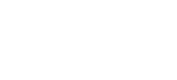 Vector Automotiva 